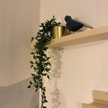 公寓 La Montagne Bleue - Parking Prive *